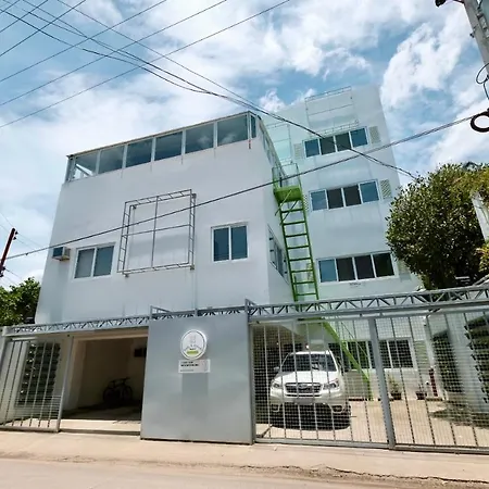 Beds & Friends Hostel Mactan